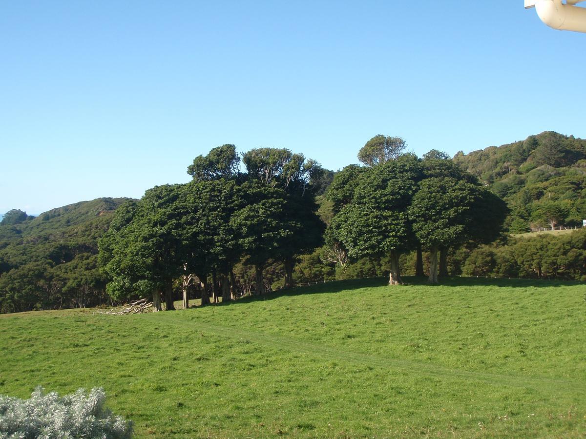 Nga Puriri Bed And Breakfast Hicks Bay Exterior photo